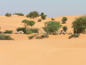Mystiek Sahara
