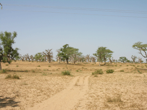 de piste Senegal in